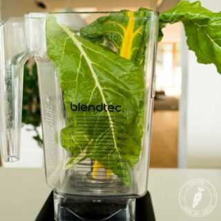 blender wysokoobrotowy vitamix i blendtec - który jest lepszy? Który wybrać? Porówanie