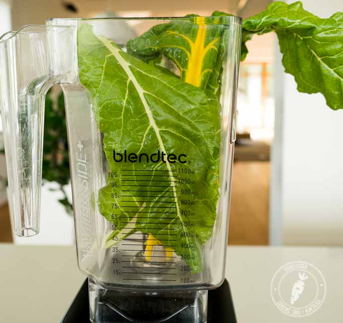 blender wysokoobrotowy vitamix i blendtec - który jest lepszy? Który wybrać? Porówanie