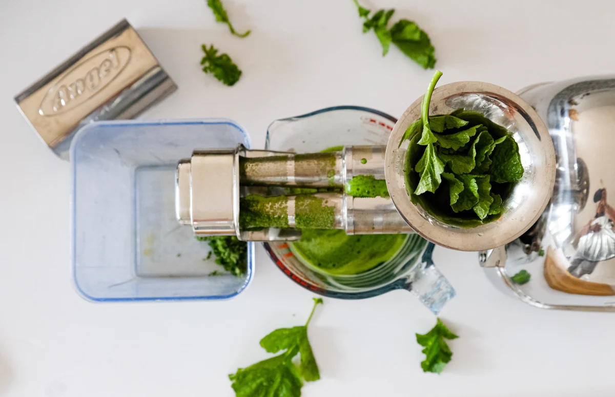 wyciskarka Angel 8500s